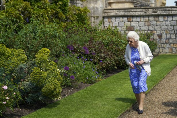 A rainha recebe uma rosa nomeada em memória do duque de Edimburgo